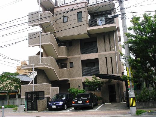 1.JPG