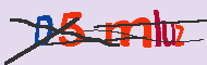Captcha認証コード
